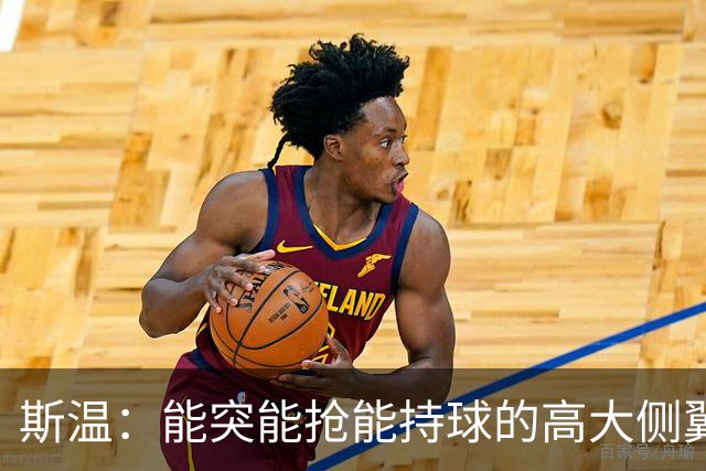 斯温：能突能抢能持球的高大侧翼 或是首轮末捡漏最佳选择？