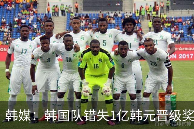 韩媒：韩国队错失1亿韩元晋级奖 但每人仍可拿8000万津贴